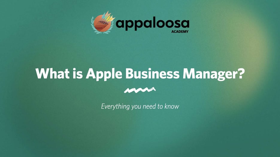 what is apple business manager